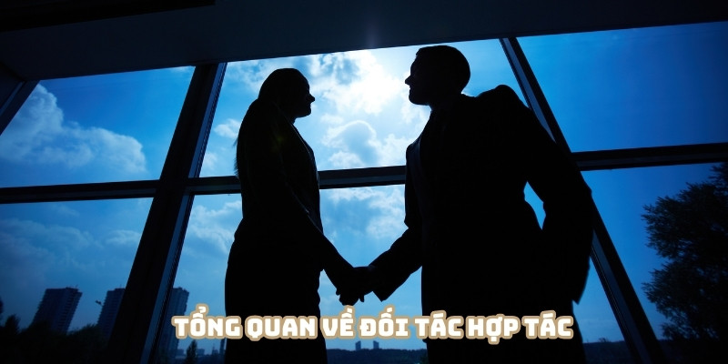 Đối tác hợp tác với những thông tin tổng quát