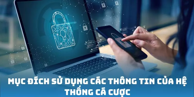 Mục đích sử dụng các thông tin của hệ thống cá cược